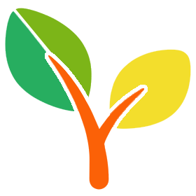 Green plan icon