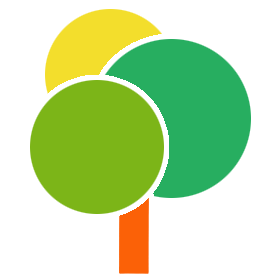 Pro plan icon